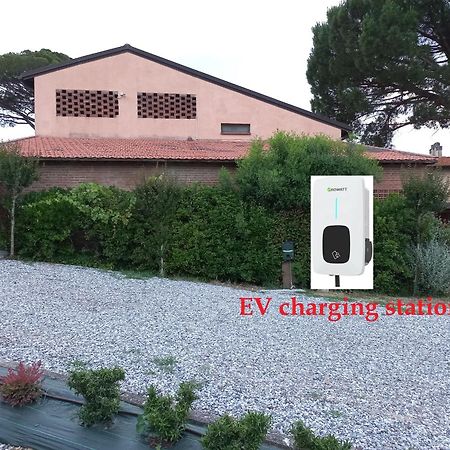 Agriturismo Buon Riposo - Country Resort In The Heart Of Tuscany San Giovanni a Corazzano Екстер'єр фото