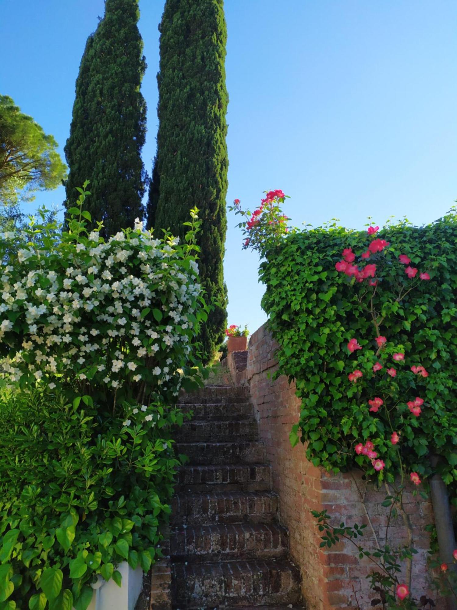 Agriturismo Buon Riposo - Country Resort In The Heart Of Tuscany San Giovanni a Corazzano Екстер'єр фото