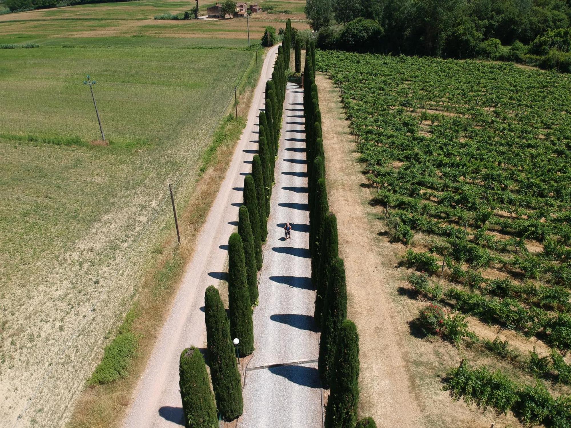 Agriturismo Buon Riposo - Country Resort In The Heart Of Tuscany San Giovanni a Corazzano Екстер'єр фото